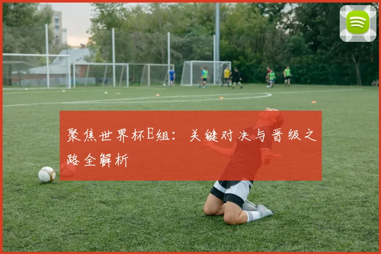聚焦世界杯E组:关键对决与晋级之路全解析