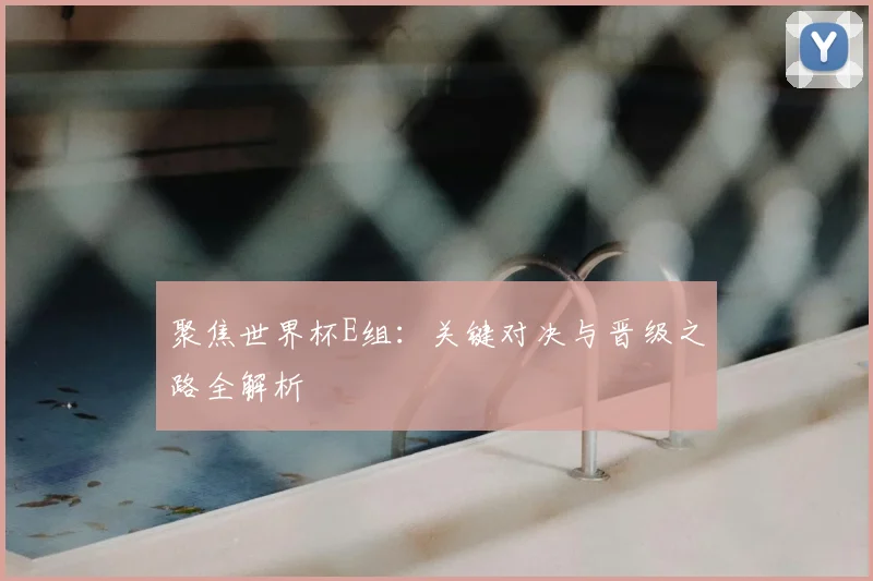 聚焦世界杯E组：关键对决与晋级之路全解析