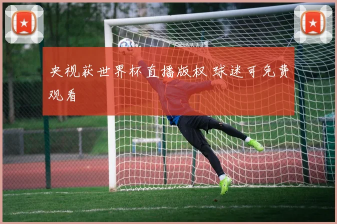 央视获世界杯直播版权 球迷可免费观看