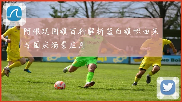 阿根廷国旗百科解析蓝白旗帜由来与国庆场景应用