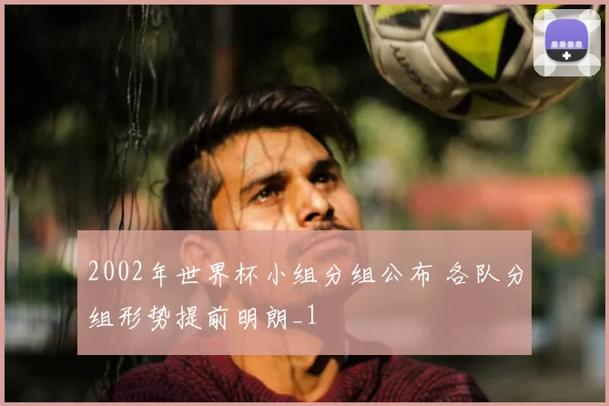 2002年世界杯小组分组公布 各队分组形势提前明朗_1