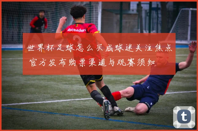 世界杯足球怎么买成球迷关注焦点 官方发布购票渠道与观赛须知