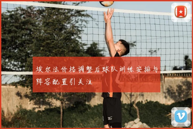埃尔法价格调整后球队训练安排与阵容配置引关注