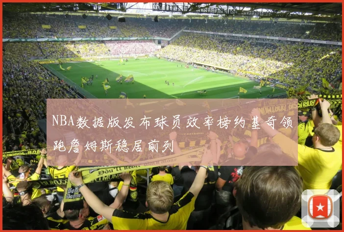 NBA数据版发布球员效率榜约基奇领跑詹姆斯稳居前列